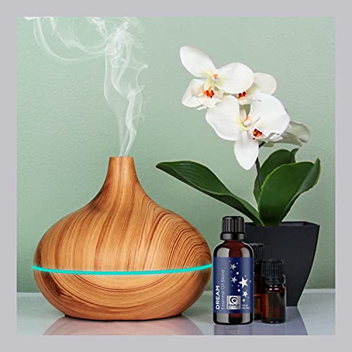 Sleep Essential Oil Blend for Diffuser - Dream Essential Oils for Diffusers Aromatherapy and Wellness with Ylang-Ylang Clary Sage Roman Chamomile and Lavender Essential Oils for Sleep Time Support