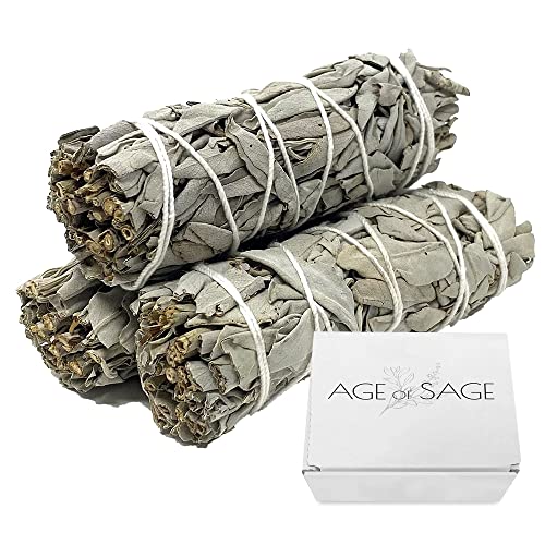 Age of Sage White Sage Smudge Sticks 4" Long - Burning Sage Bundle for Cleansing House - White Spirit Sage Incense - Sage Candles for Cleansing House - Salvia Blanca para Limpiar - 3pk