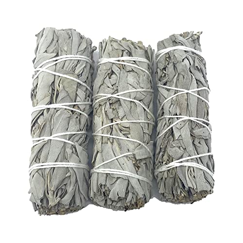Age of Sage White Sage Smudge Sticks 4" Long - Burning Sage Bundle for Cleansing House - White Spirit Sage Incense - Sage Candles for Cleansing House - Salvia Blanca para Limpiar - 3pk