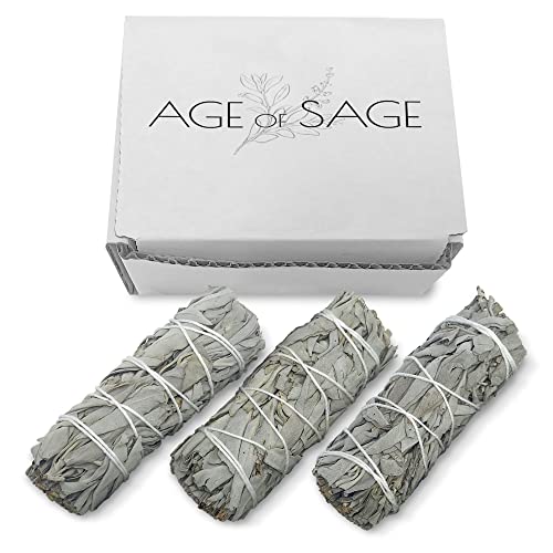 Age of Sage White Sage Smudge Sticks 4" Long - Burning Sage Bundle for Cleansing House - White Spirit Sage Incense - Sage Candles for Cleansing House - Salvia Blanca para Limpiar - 3pk