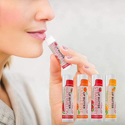 CHAP-LIP Lip Balm 60 Ct. with Fruit Flavors, Cocoa Butter, Coconut Oil | Moisturizing Vitamin E & Total Hydration Treatment & Soothing Lip Therapy