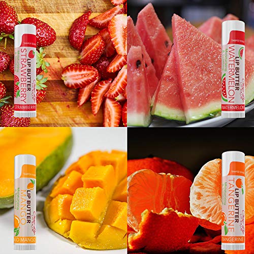 CHAP-LIP Lip Balm 60 Ct. with Fruit Flavors, Cocoa Butter, Coconut Oil | Moisturizing Vitamin E & Total Hydration Treatment & Soothing Lip Therapy