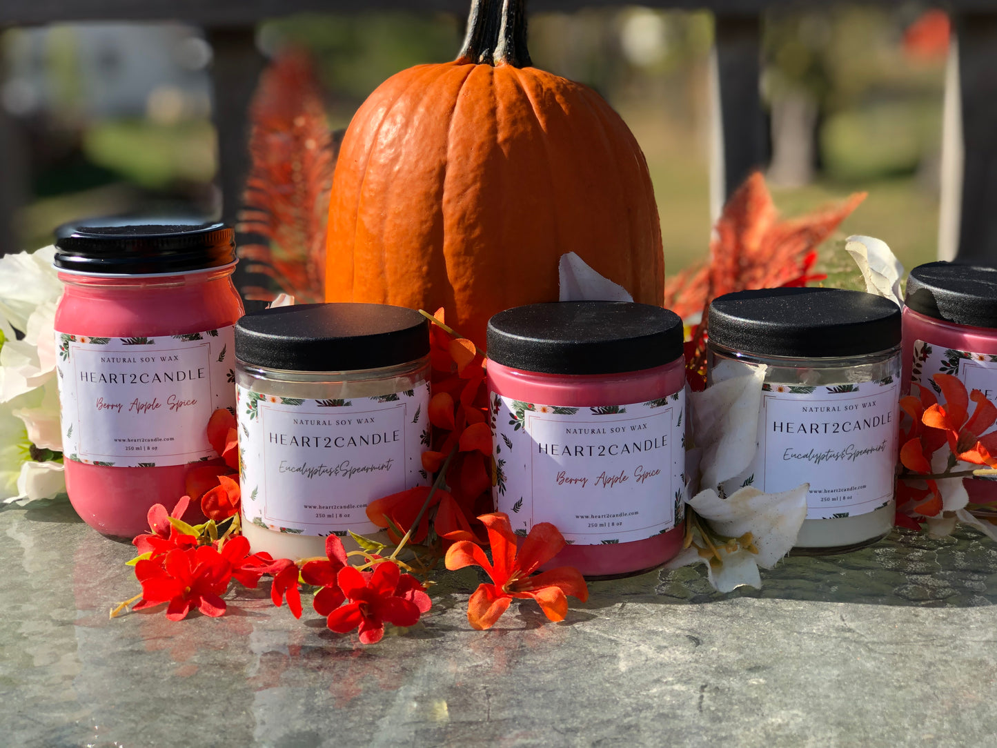Seasonal Scented Candles - Limited Luxury Candle Collection 8oz/12oz